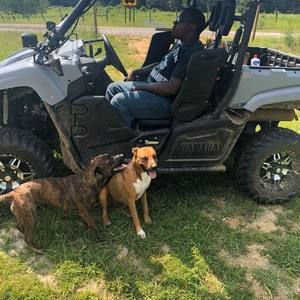 Meet your Posher, Devon